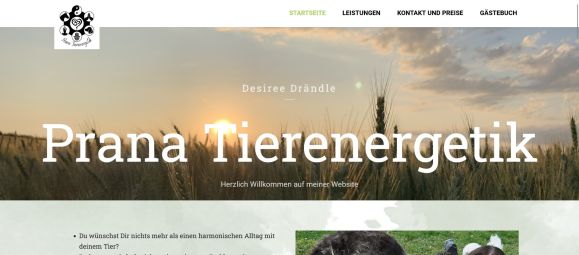 Webdesign-Referenz: Prana Tierenergetik